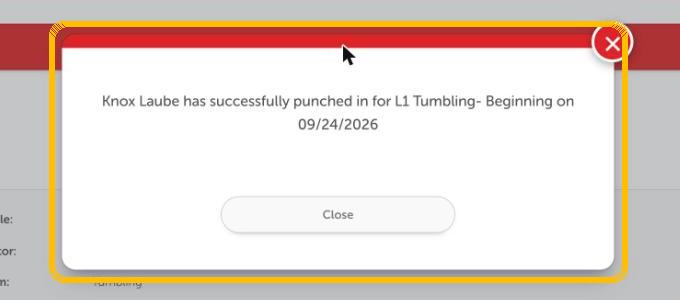 The billing address fields with a Save Details button.